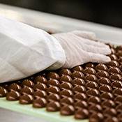 Gloved hand inspecting chocolates (Photo)